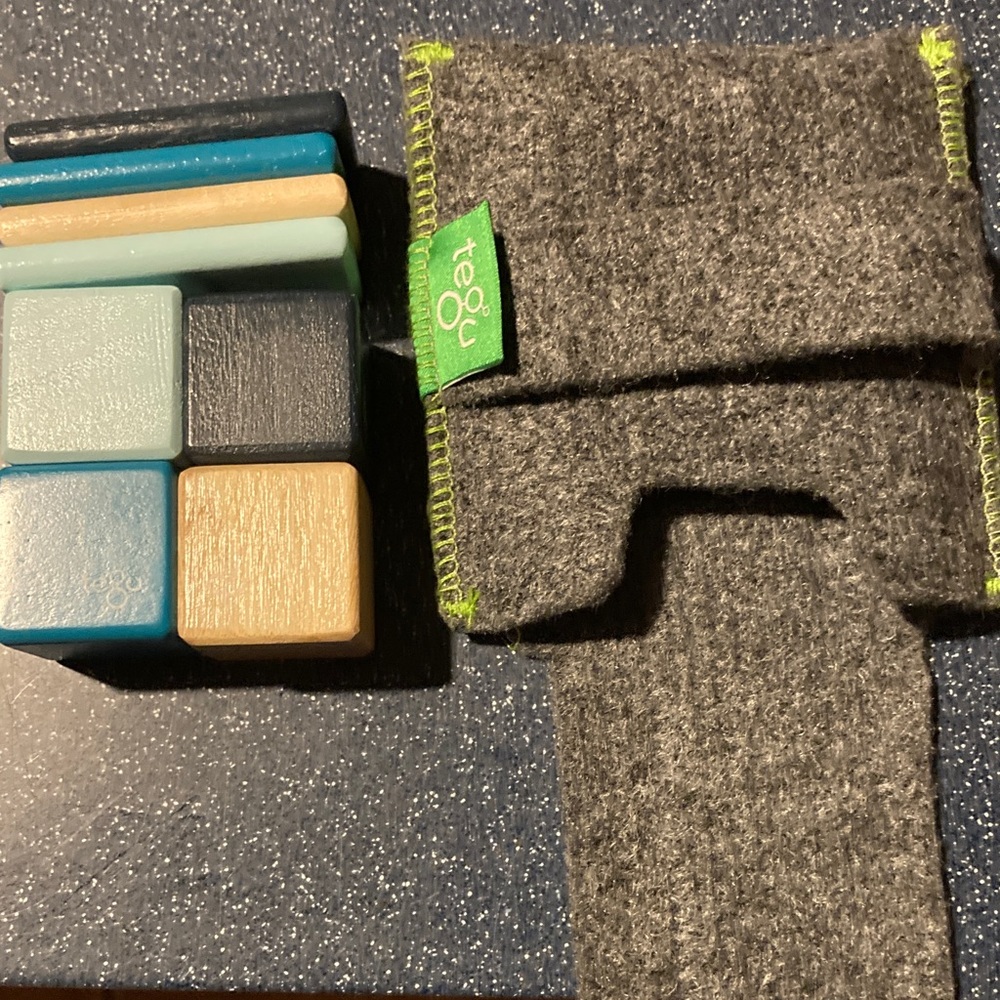 Tegu Magnetic Wooden Block Set with Gray Felt Pouch